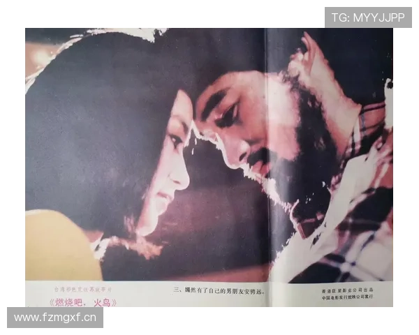 《燃烧吧!火鸟》:一场关于梦想与不屈的炽热爱歌 《燃烧吧!火鸟》:一场关于梦想与不屈的炽热爱歌