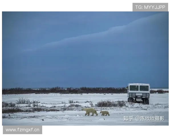 探寻世界的深度：不止于远方，更在于心之所向