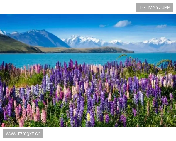 漫步云端,静听花开:高桥鸣海,一个让生活慢下来的秘密 漫步云端,静听花开:高桥鸣海,一个让生活慢下来的秘密