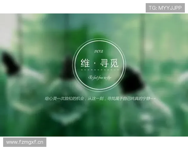 《281封信》：一段穿越时空的爱恋，一场撼动心灵的寻觅